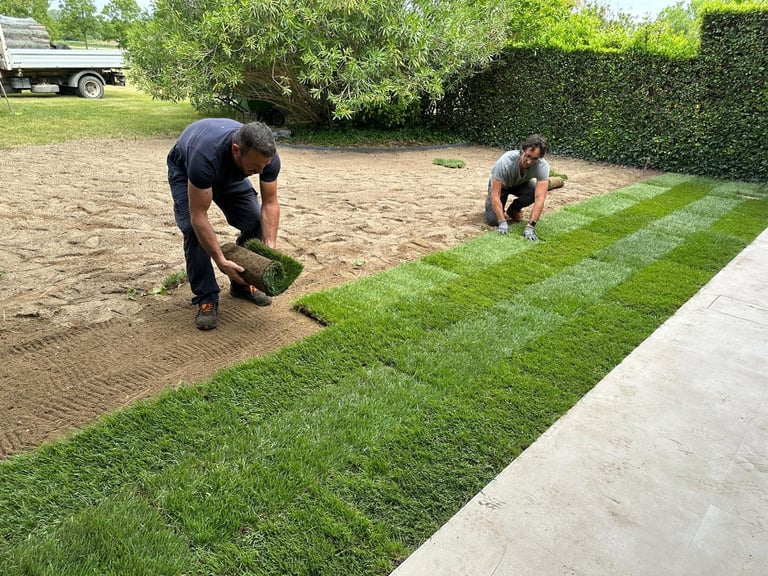 Two workers installing rolls of fresh green sod on bare soil in a residential yard