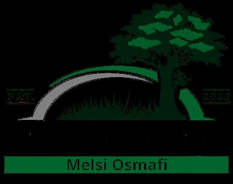 Melsi Osmafi logo featuring a stylized tree and curved arch design with green and gray colors